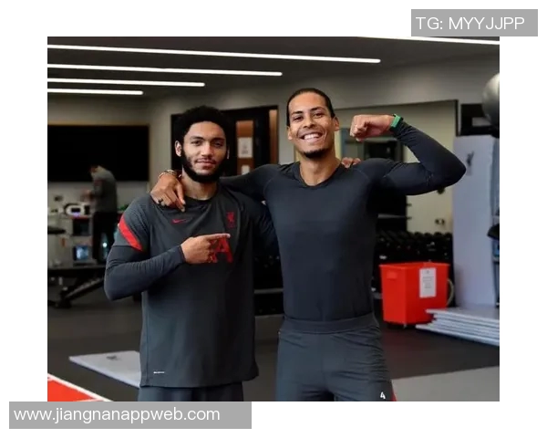 里斯威廉姆斯有望成为科纳特和乔戈麦斯的替补人选 里斯威廉姆斯有望成为科纳特和乔戈麦斯的替补人选